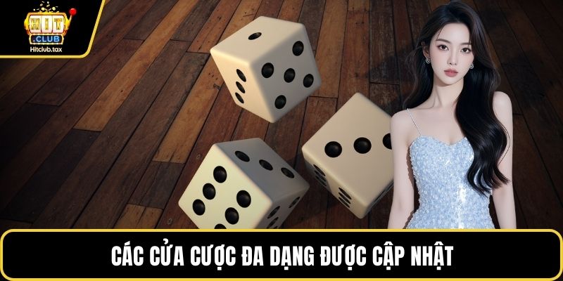 Các cửa cược đa dạng được cập nhật