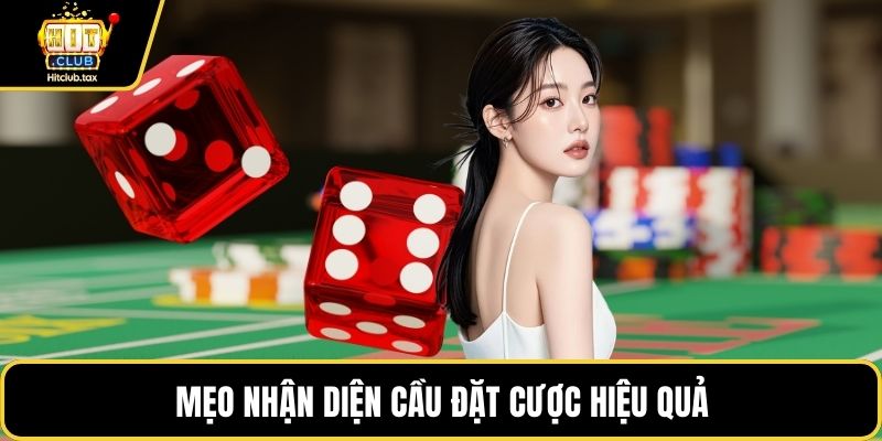 Mẹo nhận diện cầu đặt cược hiệu quả