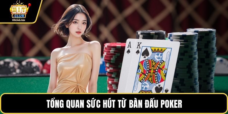 Tổng quan sức hút từ bàn đấu poker